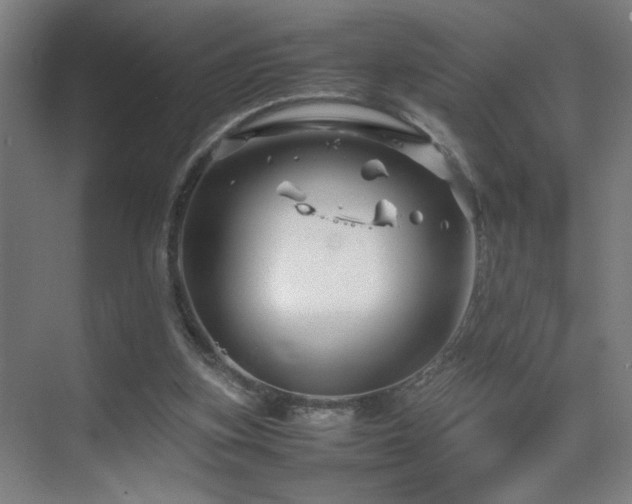 X0000070210155200605261301