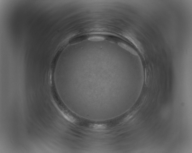 X0000070210157200605261301