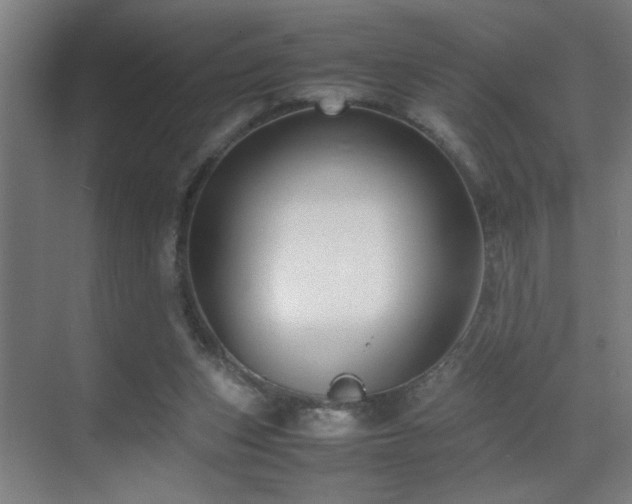 X0000070210159200605261301