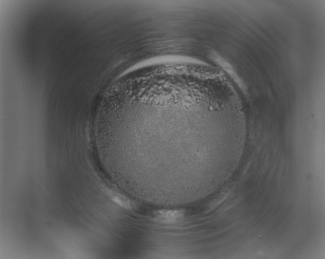 X0000070210161200605261301