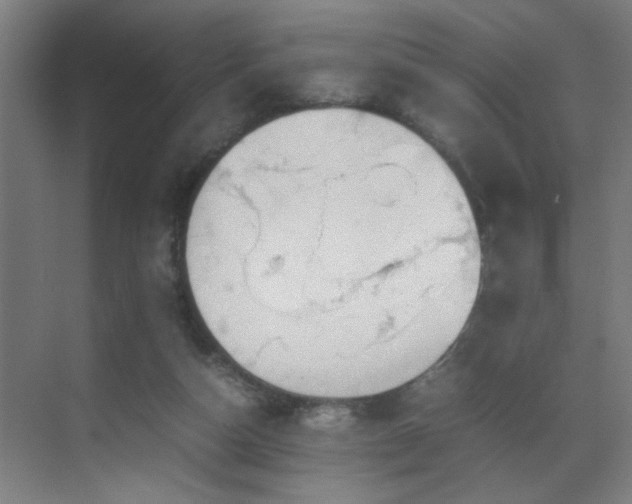 X0000070210162200605261301