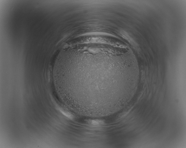 X0000070210165200605261301