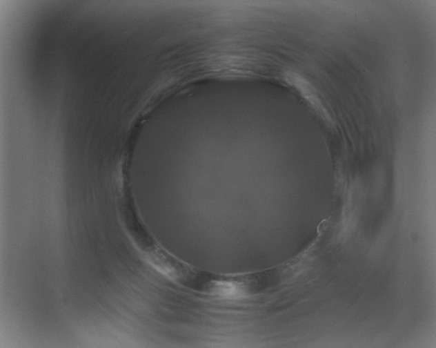 X0000070210167200605261301