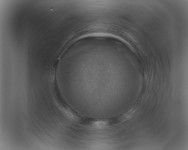 X0000070210168200605261301