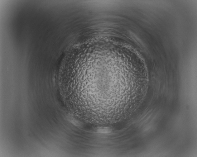 X0000070210169200605261301