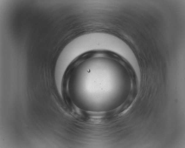 X0000070210170200605261301