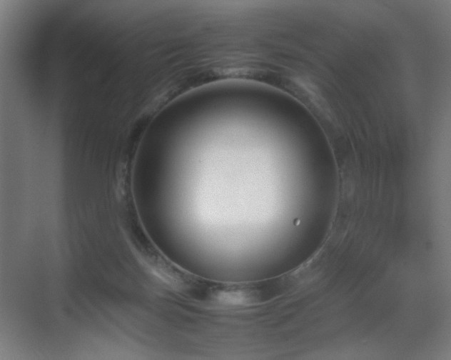 X0000070210171200605261301