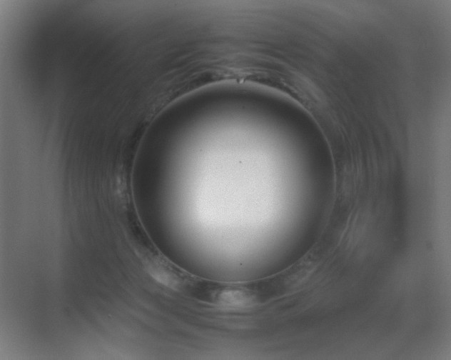 X0000070210173200605261301