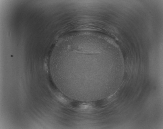 X0000070210175200605261301