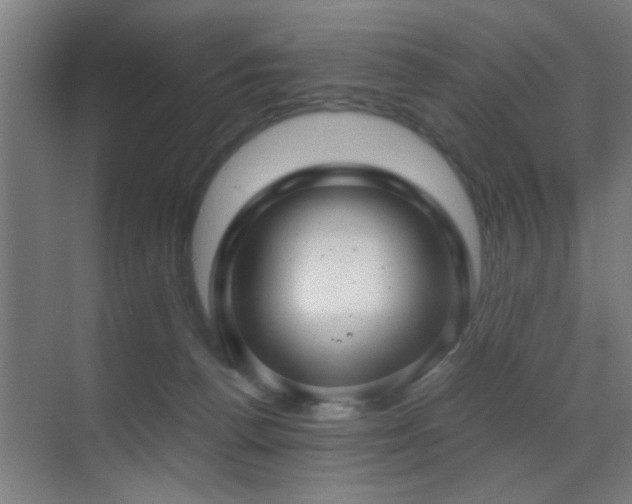 X0000070210176200605261301