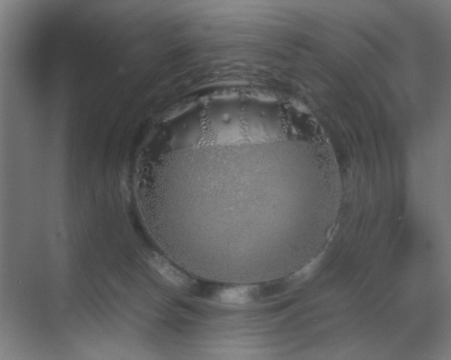 X0000070210178200605261301