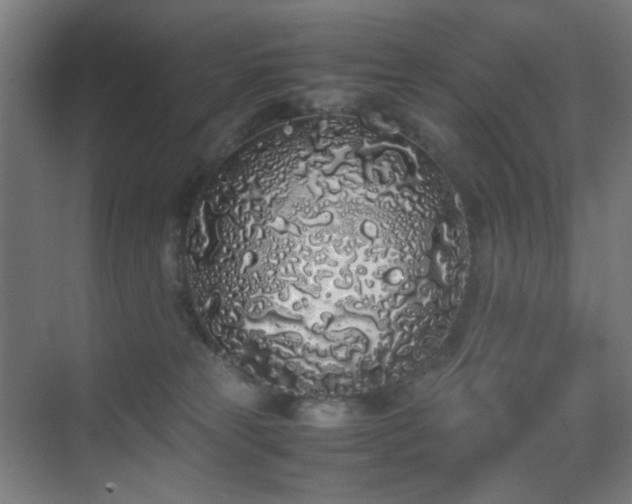 X0000070210181200605261301