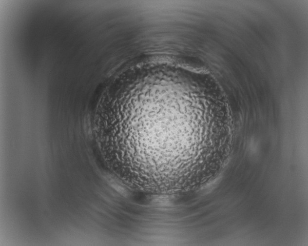 X0000070210182200605261301