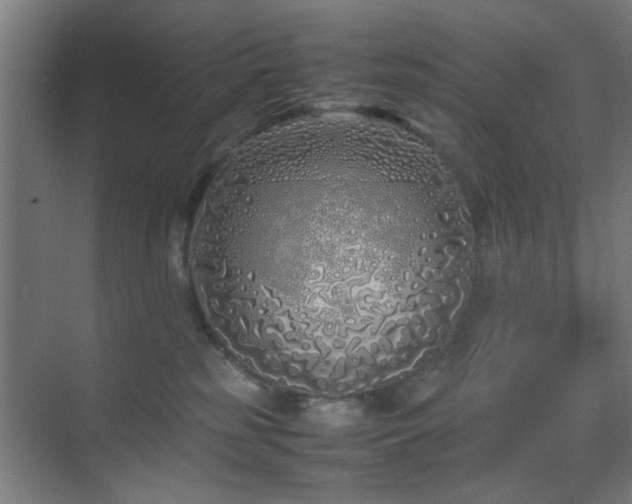 X0000070210185200605261301