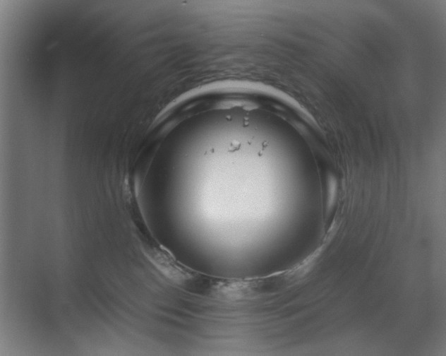 X0000070210186200605261301