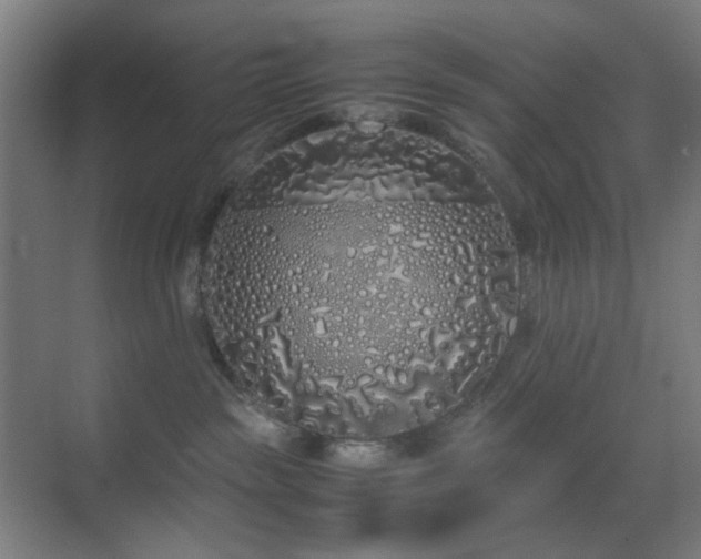 X0000070210189200605261301