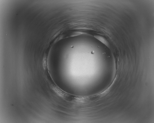 X0000070210190200605261301