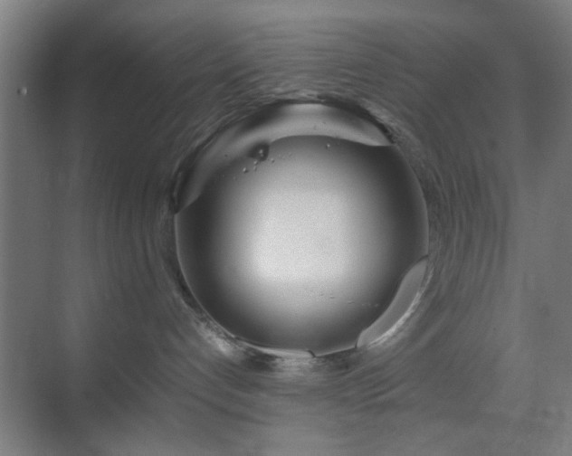 X0000070210192200605261301