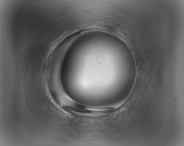 X0000070210193200605261301