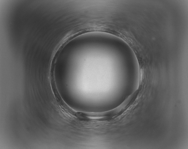 X0000070210195200605261301