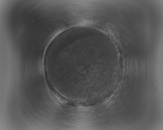 X0000070210196200605261301