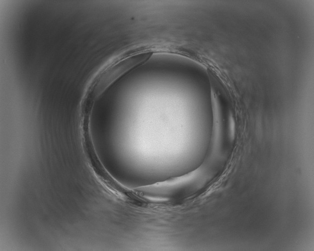 X0000070210197200605261301