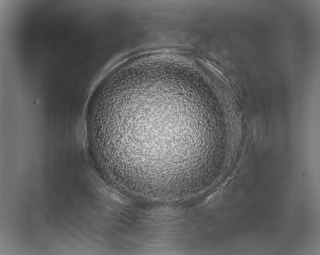 X0000070210198200605261301