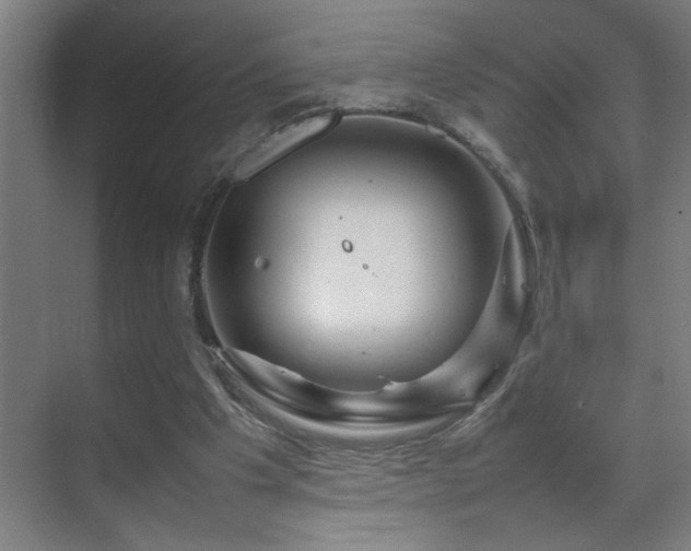 X0000070210201200605261301