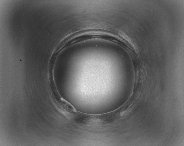 X0000070210203200605261300