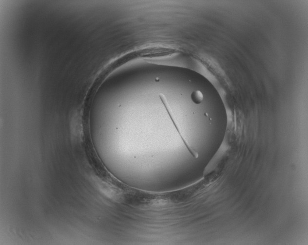 X0000070210204200605261300