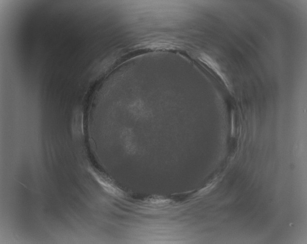 X0000070210205200605261300