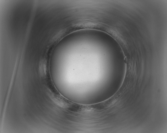 X0000070210206200605261300