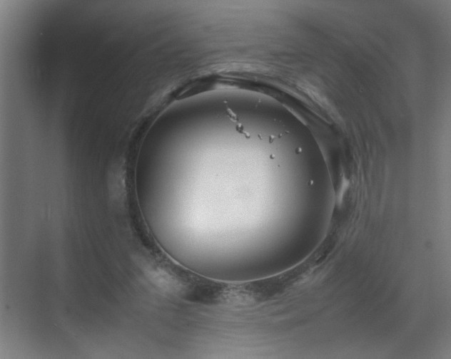 X0000070210207200605261300