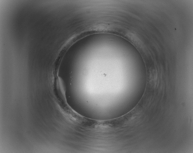 X0000070210208200605261300