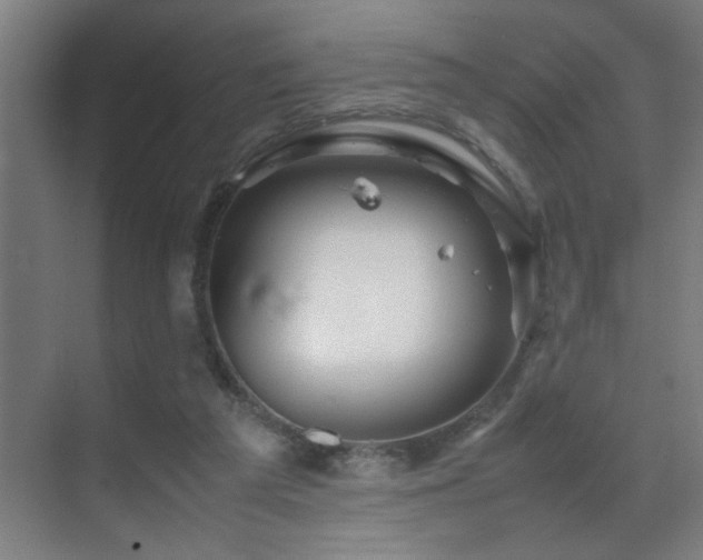 X0000070210209200605261300