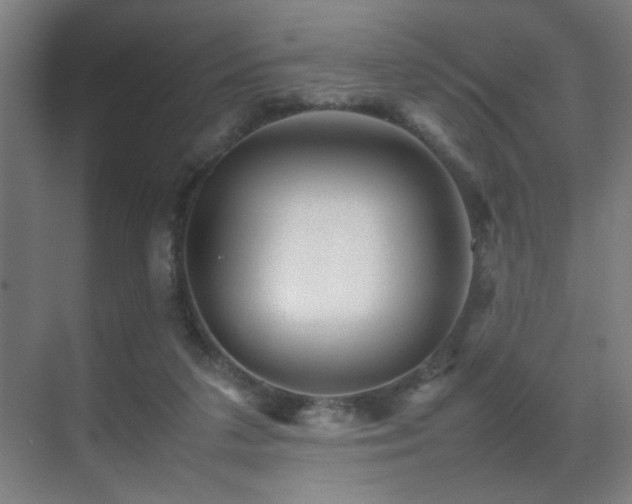 X0000070210211200605261300