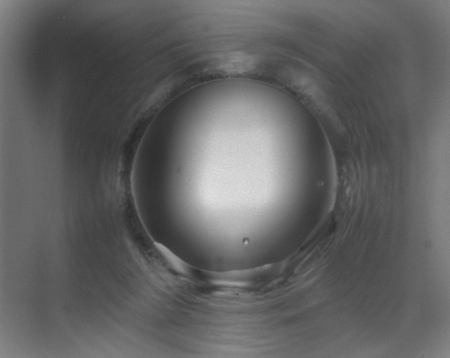 X0000070210212200605261300