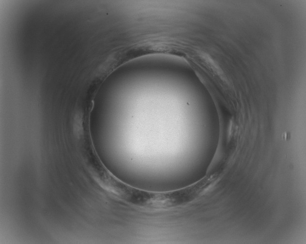 X0000070210213200605261300