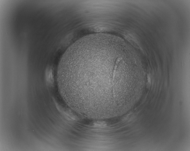 X0000070210214200605261300