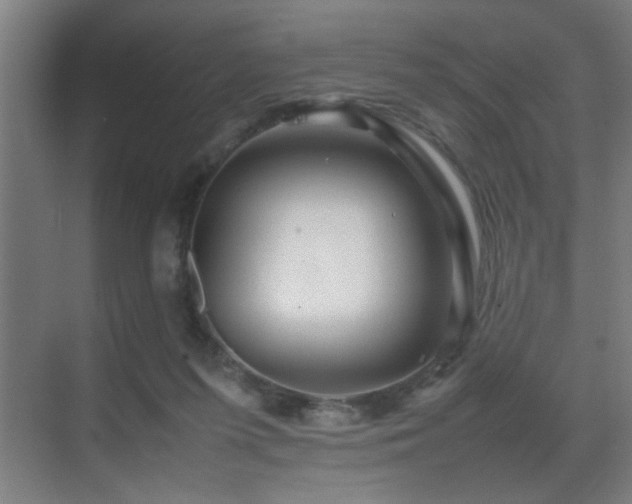 X0000070210215200605261300