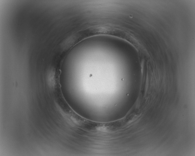 X0000070210216200605261300