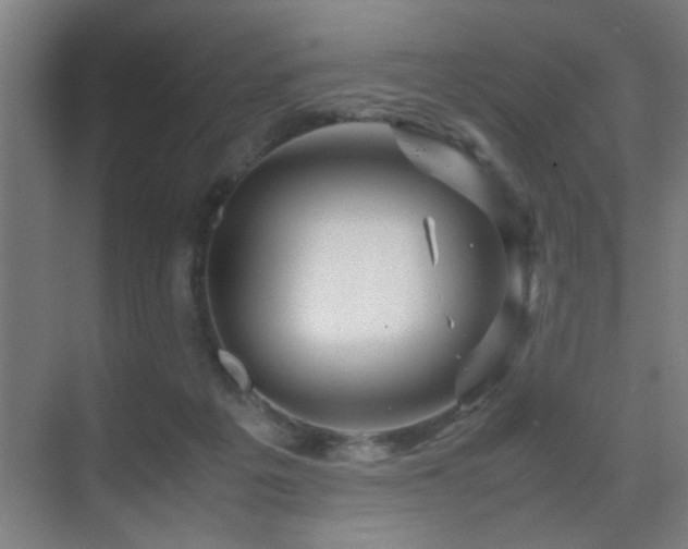 X0000070210217200605261300