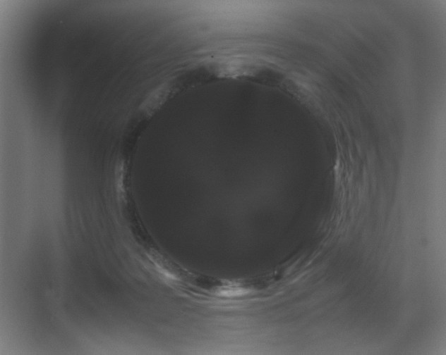 X0000070210219200605261300