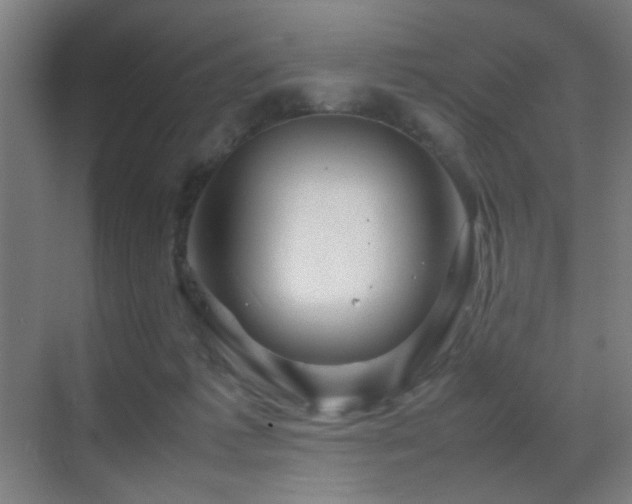 X0000070210221200605261300