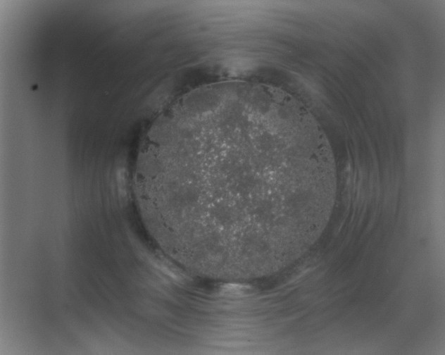 X0000070210222200605261300