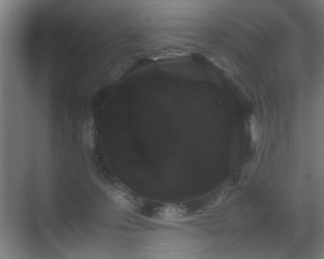 X0000070210223200605261300