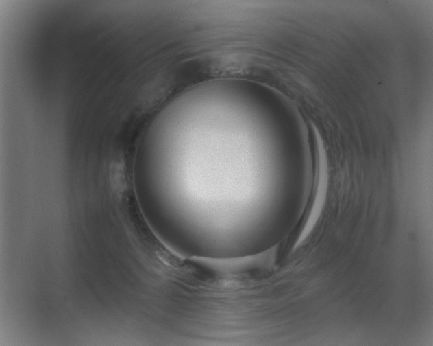 X0000070210224200605261300