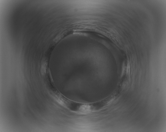 X0000070210227200605261300