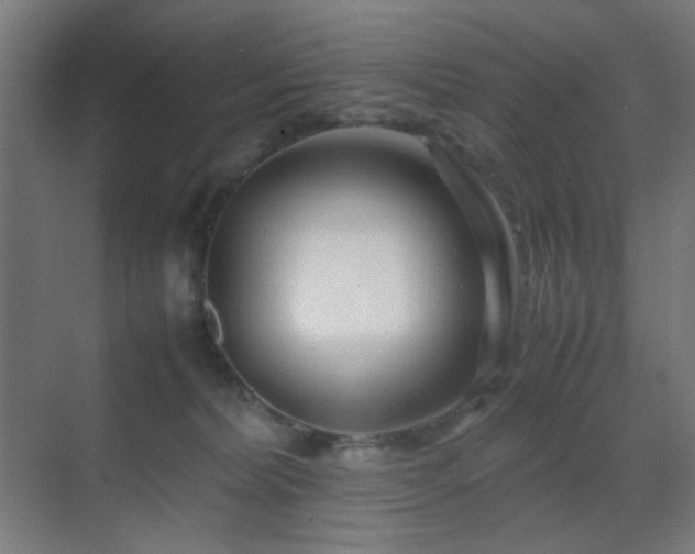 X0000070210228200605261300