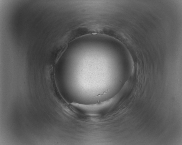 X0000070210229200605261300